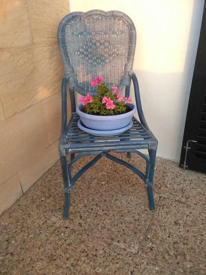 Sol Naixent Apartment Fornells  Spain